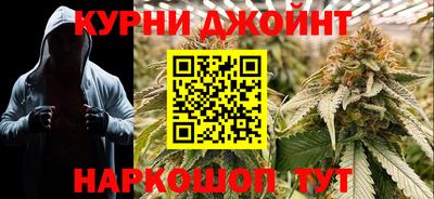 сатива Ставрополь