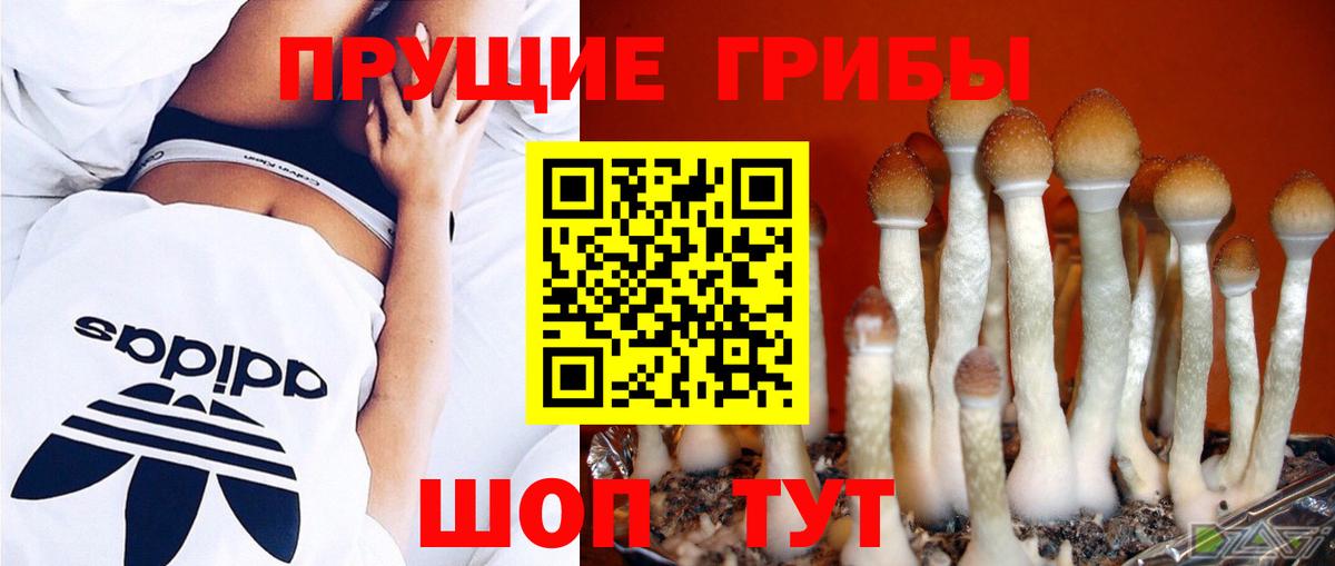 Галлюциногенные грибы прущие грибы  Галлюциногенные грибы Psilocybe  Первоуральск  Вход с VPN 