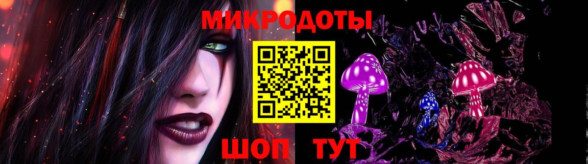 Галлюциногенные грибы Psilocybe Первоуральск